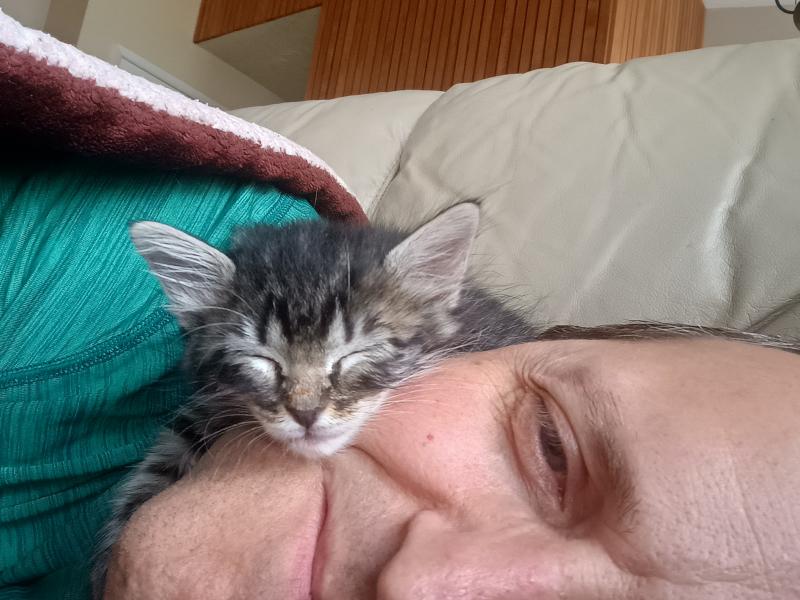A close up of my face as I am lying on my side on my couch and there is a dark black tabby kitten lying on top of my head, her chin resting on my cheek, her eyes closed as she sleeps on my head.