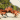:crabrave: :crabrave: