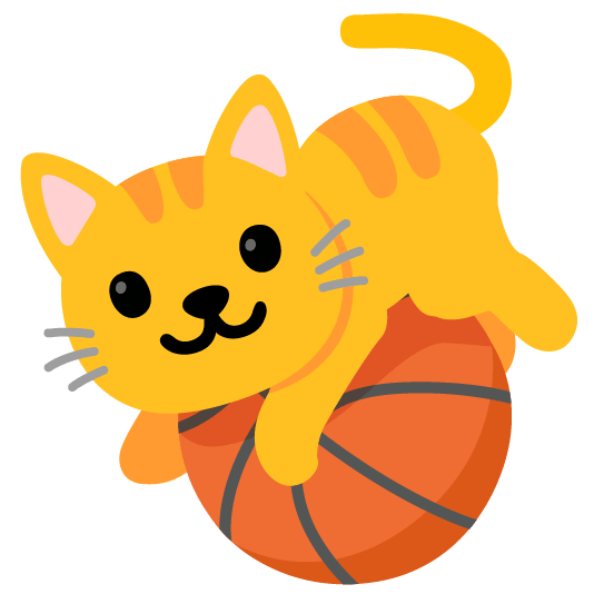 :basketballcat:
