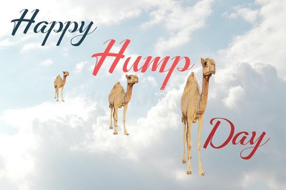 An image that says Happy Hump Day with three camels and the sky in the background.
