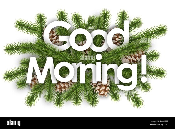 An image that says good morning and has some pine tree leaves and pine cones around the words.