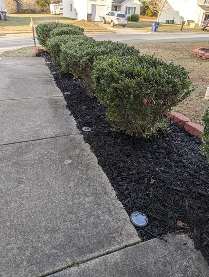 A photo I took of the new black mulch that we put down to refresh the original mulch we put down 2 years ago.