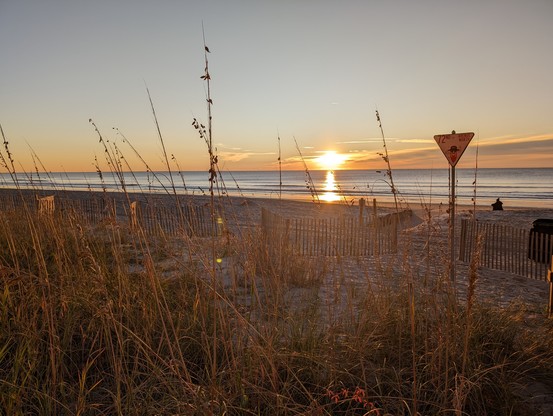 A photo I took while at Myrtle Beach, SC back around Thanksgiving 2023 of the sun rising over the beach. You can see a sign towards the right of the photo with some grass like weeds or something similar. The sky has some orange and blue colors due to the sun rising in the background.
