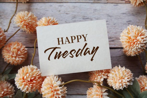 An image that says Happy Tuesday on a card sitting on a wood table and there are various orange like flowers laying all around.