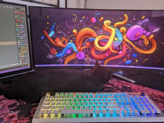 A picture of my 15 year old black female kitty, Bess, laying between my keyboard and monitor. 