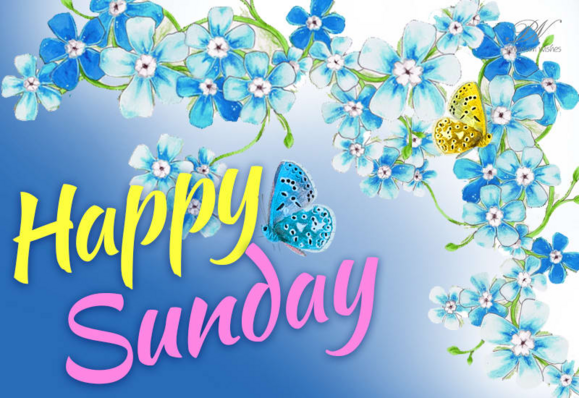 An image that has a blue and white background, says happy Sunday and has some blue and white flowers all around. There is one yellow butterfly with black spots.