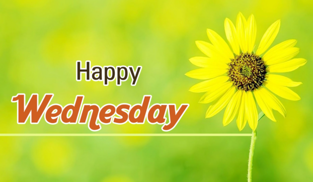 An image with a green and yellow like background that says happy Wednesday in the middle with a yellow flower to the right.
