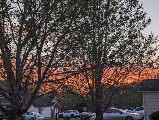A photo I took of the sunrise here in Winston Salem, NC this morning. You can see several of the neighbors houses and vehicles as well as the tree in my front yard and the tree in the front yard of my neighbors house.

There are some pretty oranges, yellows and blues in the sunrise.
