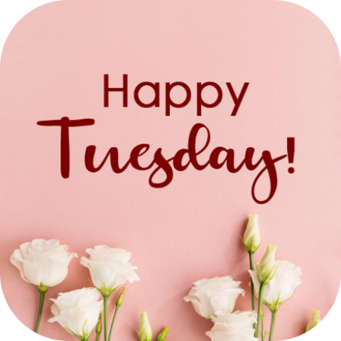 An image with a pink background, the words happy Tuesday in a maroon colored font and some pink flowers at the bottom.