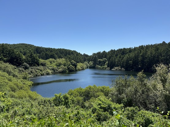 A wide angle shot of a lake surrounded by trees. Hills behind the lake meet in the middle, forming a wide, low V. 