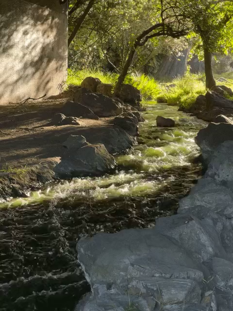 A brook running through some rocks with a little tree gate in the distance. There’s grass behind the trees. The sun is hitting the trees and grass in such a way they are glowing, and some sun is hitting the water too.