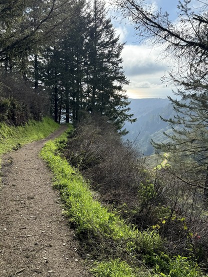 On the left, a gravel trail banked by grass runs off into some pine trees. On the right of the trail, and the right half of the picture, the ground falls away into some leafless bushes, showing a valley and tree-covered hills off in the distance.
