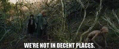 Still from the Lord of the Rings movies, caption reading “WE’RE NOT IN DECENT PLACES”