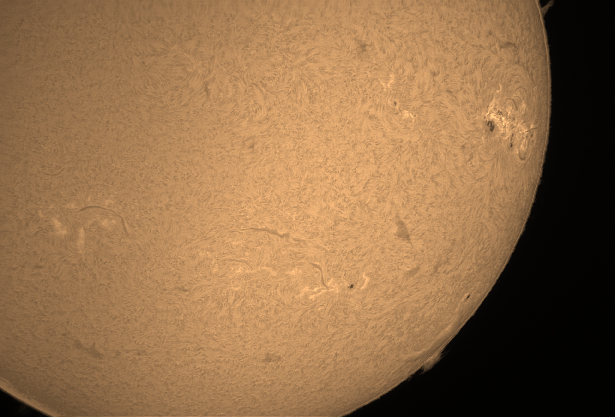 Colorized (yellowish) Hydrogen Alpha picture of the sun, showing dark filaments snaking across the surface, and a large active area with black sunspots and bright plages. On the edge of the sun are two prominences, one is a tall pillar or tornado shape, one is a large tidal-wave shape with spikes sticking out either side.