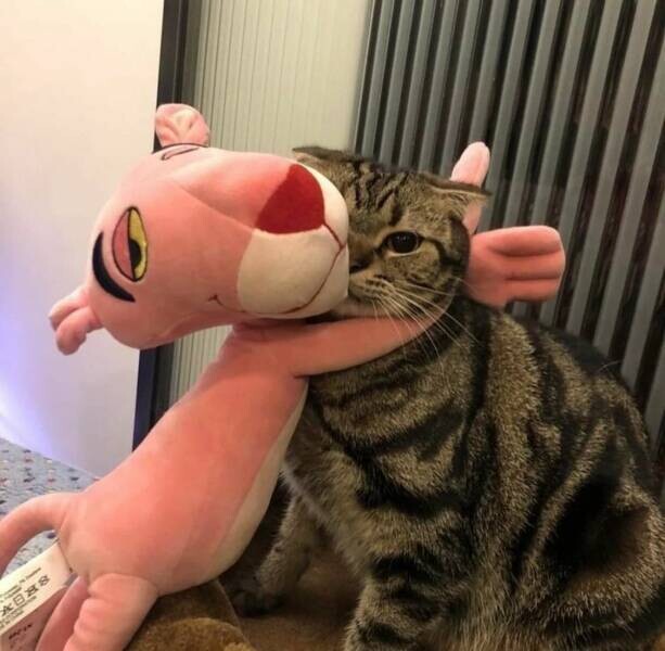 Pink Panther doll hugging cat.