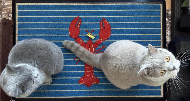Percy and Lotty playing on the lobster mat. 