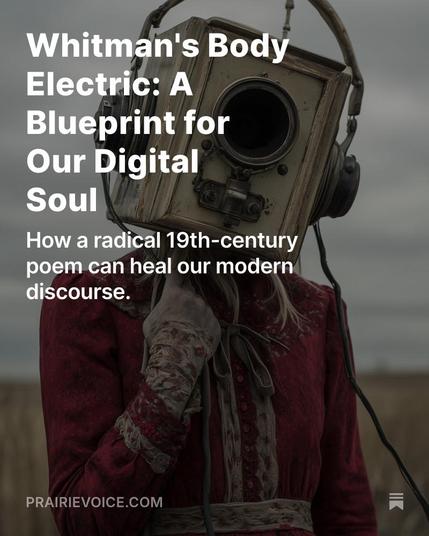 Woman on a prairie with a radio head. 