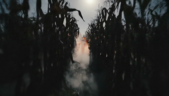 Six children in a cornfield dressed as scarecrows.