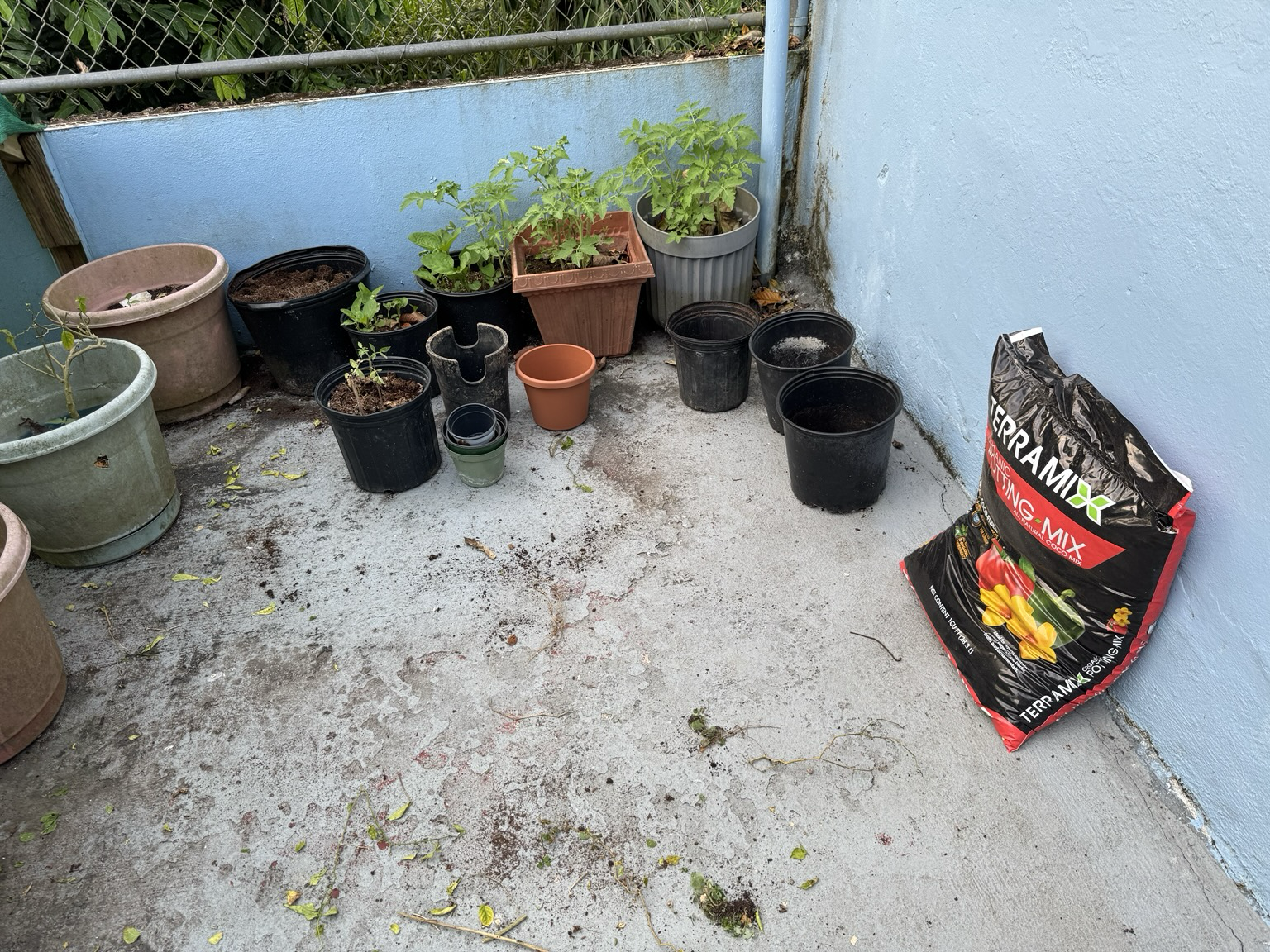preparando el huerto