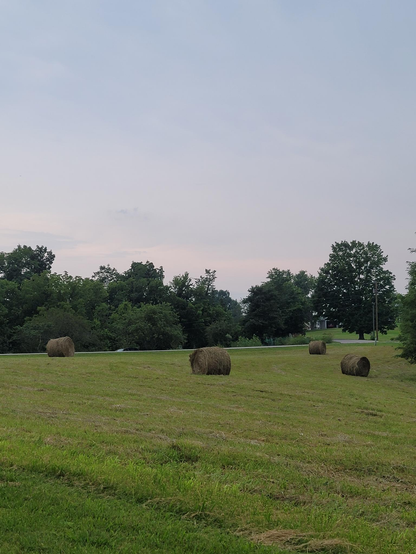 Photo of a freshly cut field of grass with four golden hay bails scattered about the gently sloping earth. 