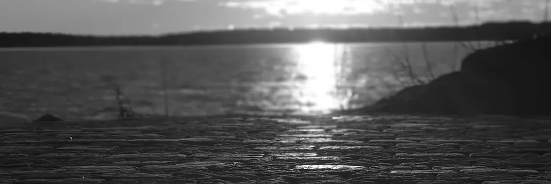 silhelm's profile header