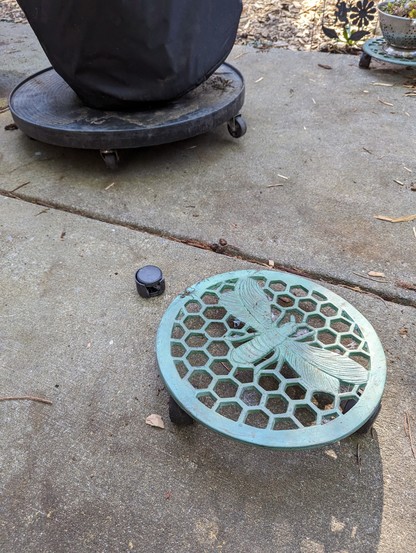 A circular metal plant stand with wheels (and a dragonfly image in it) has one of the (three) wheels lying forlornly beside it.

The rose pot sits behind it on a substitute skrode