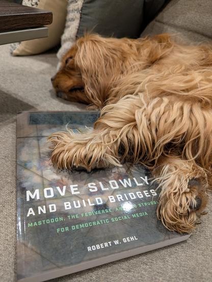 A cute red dog has fallen asleep on top of MOVE SLOWLY AND BUILD BRIDGES, a book by Roger W Gehl.
 https://bookwyrm.social/book/823358/s/millions-billions-zillions