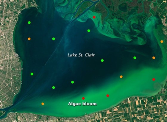 Map of satellite image of lake with algal bloom and point predictions