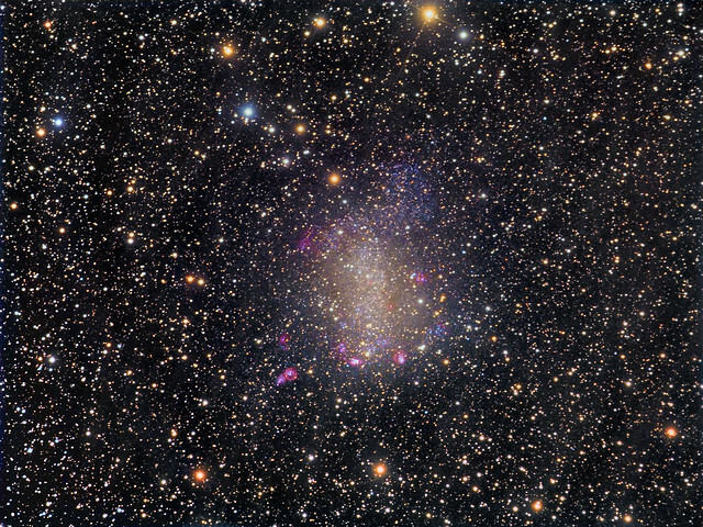 This image shows a deep view of Barnard's Galaxy (NGC 6822), an irregular dwarf galaxy that is one of the nearest neighbours to our Milky Way. This galaxy was discovered by astronomer Edward E. Barnard in 1884 and is located about 1.6 million light years <br />away in the constellation Sagittarius. Despite boasting a meagre 10 million stars, and extending only one tenth the size of our Milky Way, NGC 6822 contains a full menagerie of hot red star forming HII regions, planetary nebulae, bright OB associations <br />and dark clouds. In 1925 the famous astronomer Edwin Hubble published his paper 'N.G.C. 6822, A Remote Stellar System' which was a detailed survey of this galaxy. Apart from describing five of its brightest HII regions Hubble also discovered 11 Cehepid <br />variables in NGC 6822. This was one of the most important discoveries in galactic astronomy and enabled NGC 6822 to be the first galaxy beyond the Magellanic Clouds to have its distance measured and in turn greatly expanded the size of the known Universe <br />at the time. NGC 6822 is a challenging galaxy to photograph since it has a very low surface brightness. But still many of its brightest stars are resolved together with the various star forming regions and blue OB associations. Also visible throughout <br />this image is a thin veil of galactic cirrus, or Integrated Flux Nebula (IFN). This is gas and dust which is not directly illuminated by stars but rather reflect the extremely faint combined glow of the Milky Way. With its ...