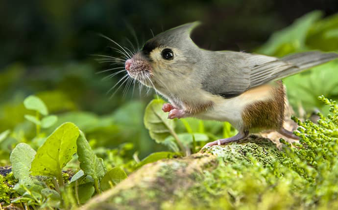 megueyb's profile header