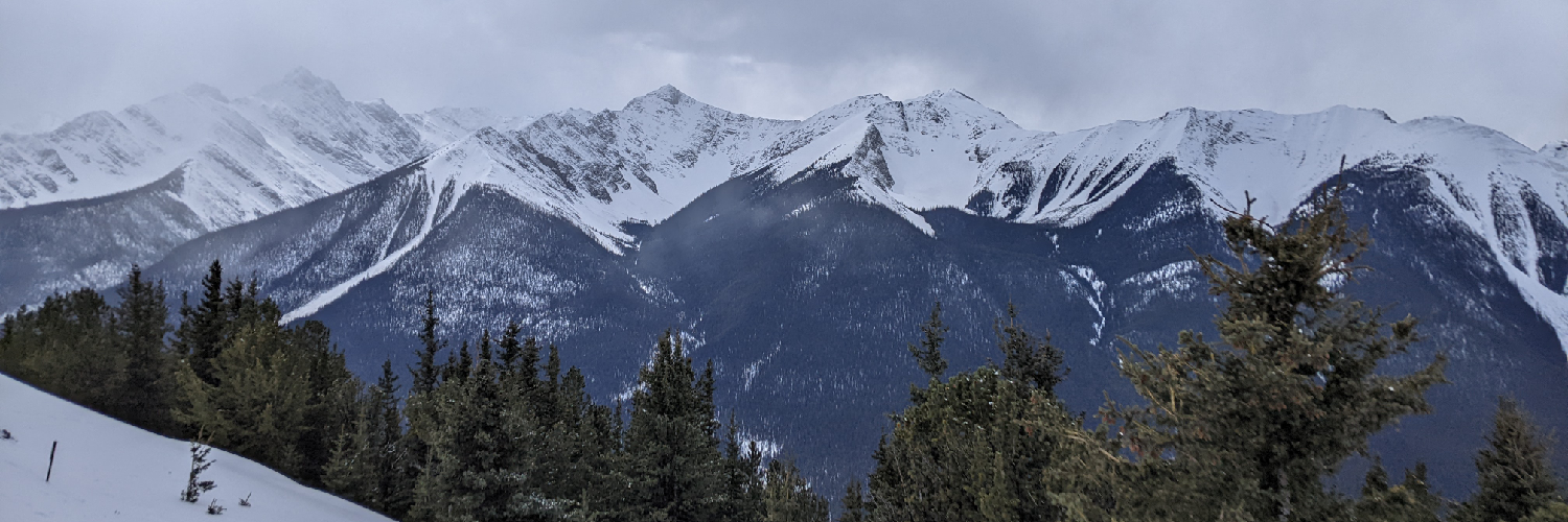 eladrin's profile header