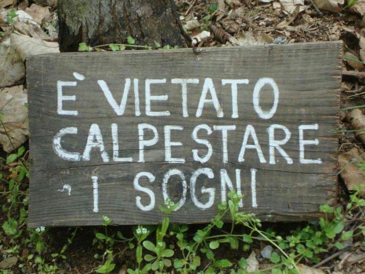 nicolaurbinati's profile header