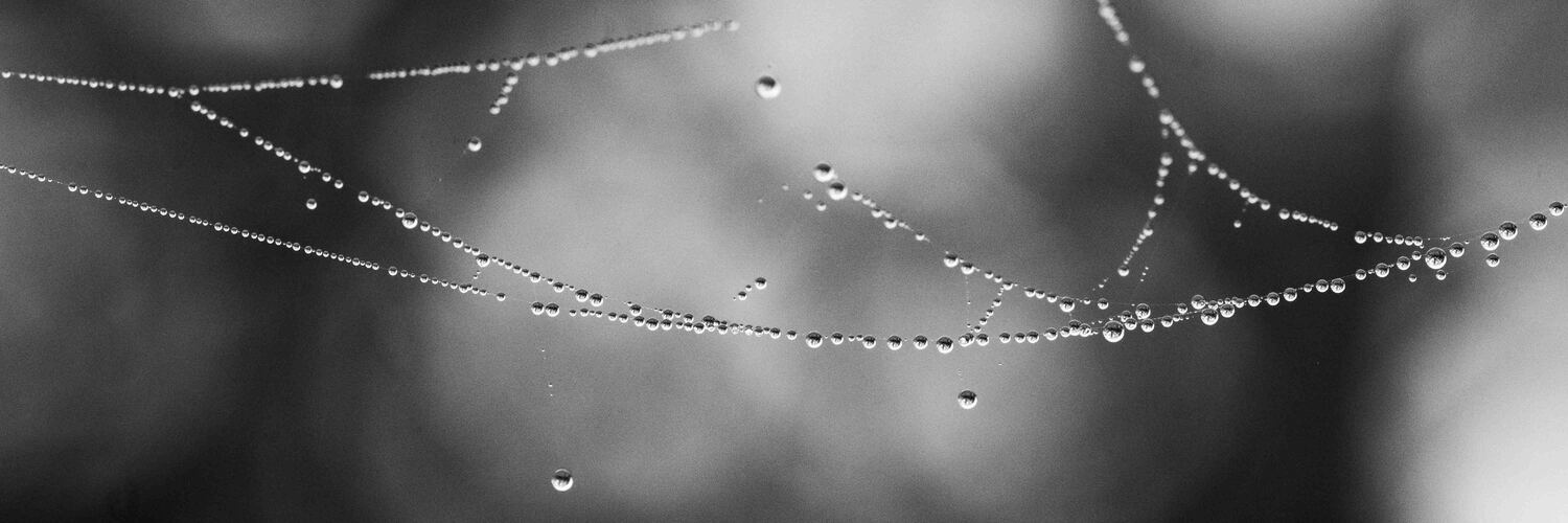 thoughty's profile header