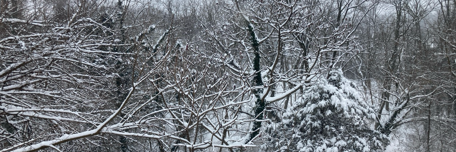 guyintheblackhat's profile header