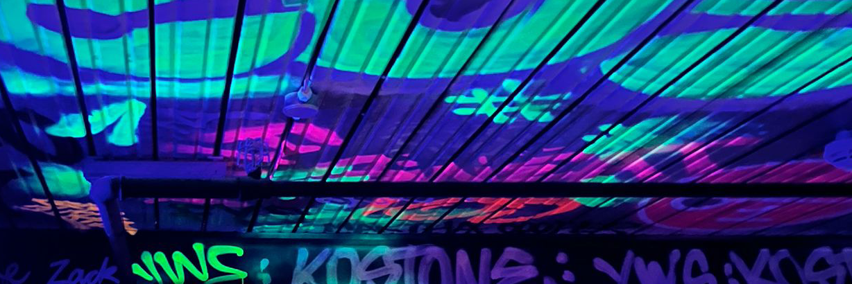 398w's profile header