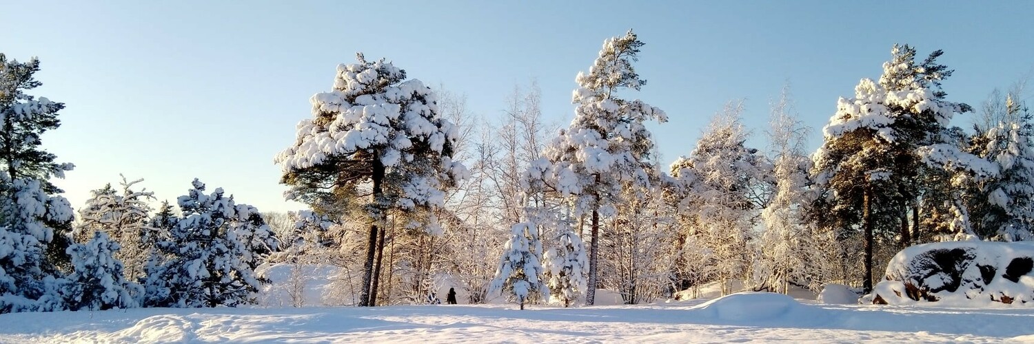 tiikerikani's profile header