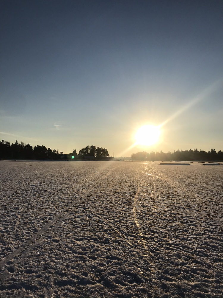 LariAssmuth's profile header