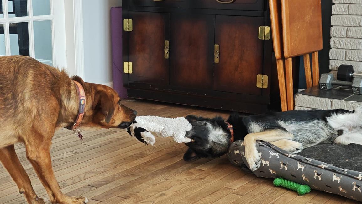 longrun_vt's profile header