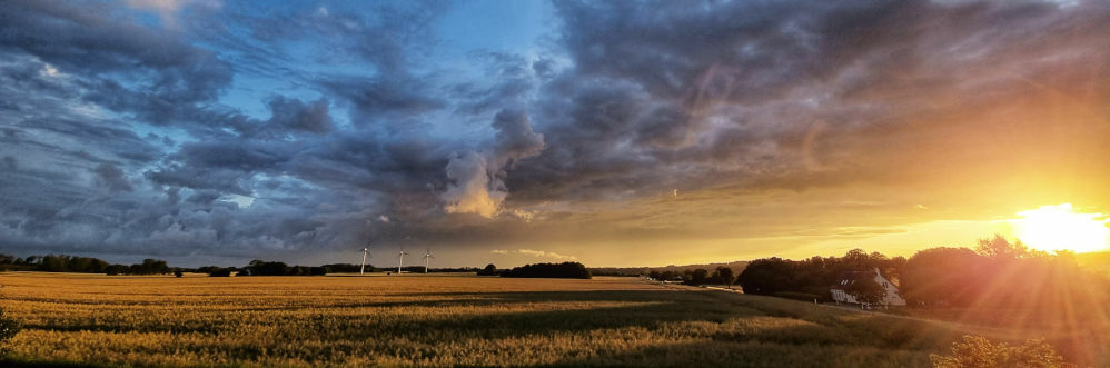 countstex's profile header