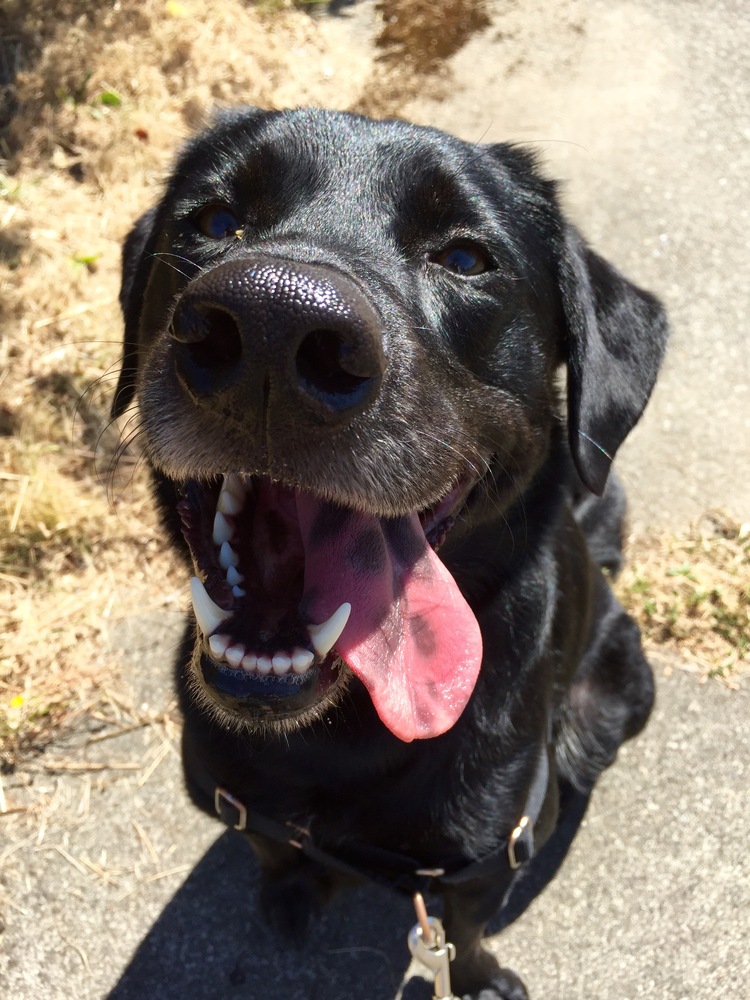 montecook's profile header