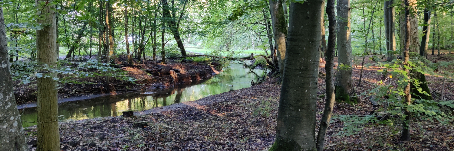 audunmb's profile header