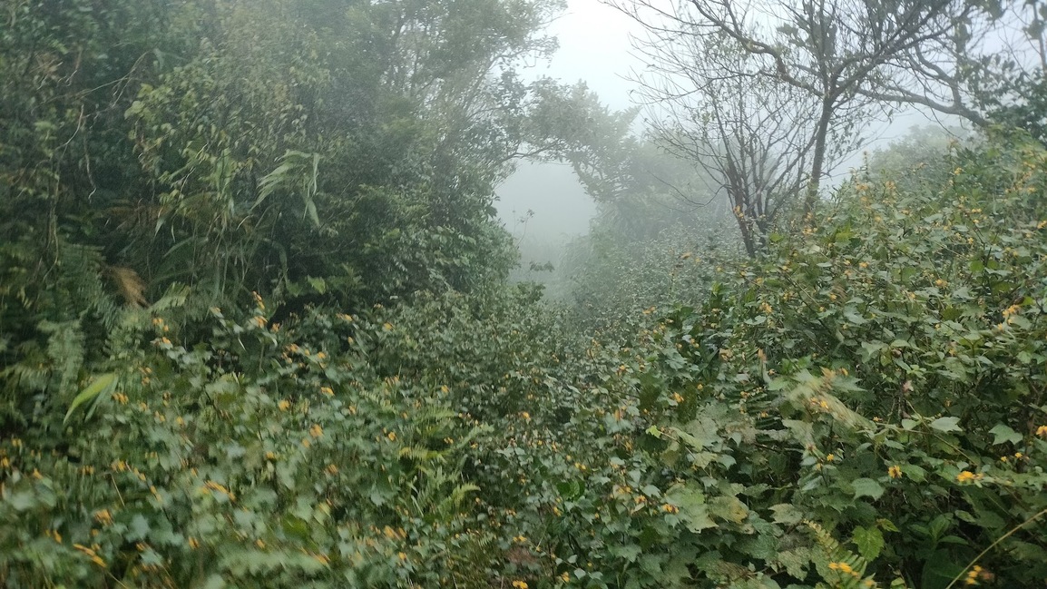 goobernuts's profile header