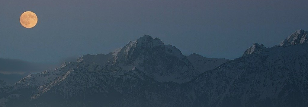 lostcompanypress's profile header