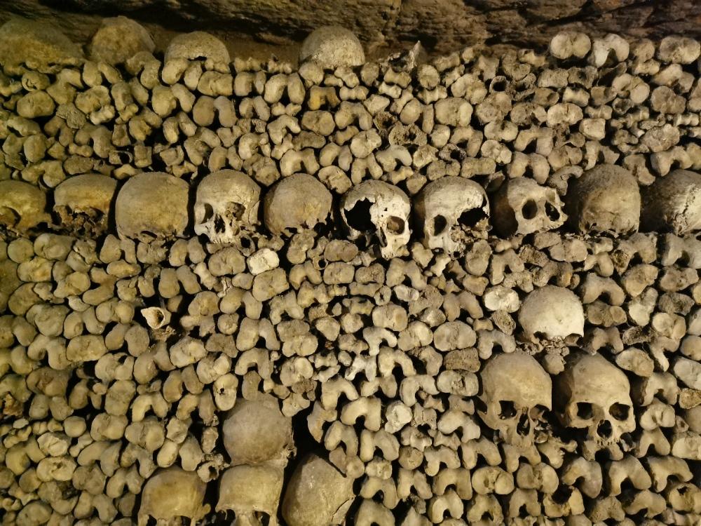 BloodLitter's profile header