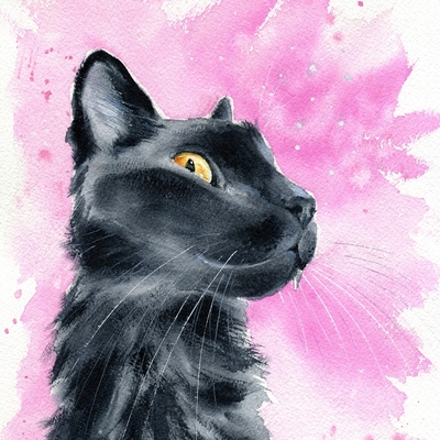 cowboycatranch's avatar
