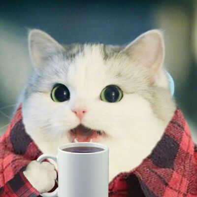 castaras's avatar