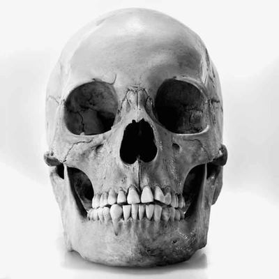 andthegeekshall's avatar