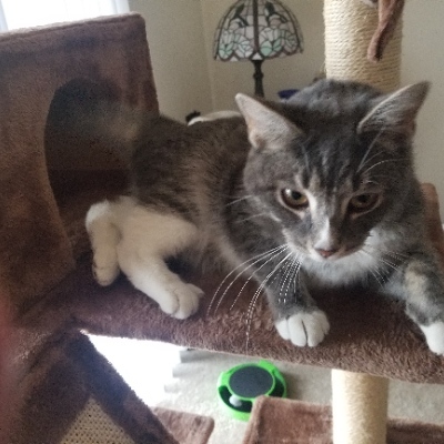 CharliePurrker's avatar