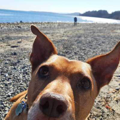 timfordwrites's avatar