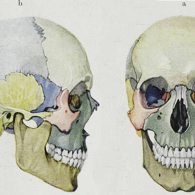 Hauntedhouse's avatar